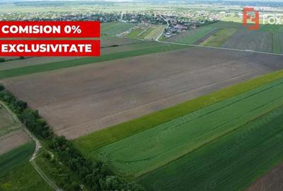 Teren de 40600 mp, în Bucovăț (Remetea Mare) - 1