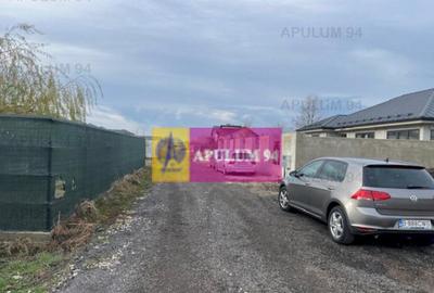 Teren Cornetu- Aeroportului. - 1