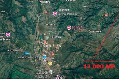 TEREN EXTRAVILAN MUSATESTI ARGES