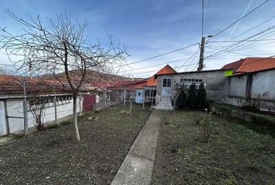 Bocsa Casa Demisol Parter Etj.1 - 2