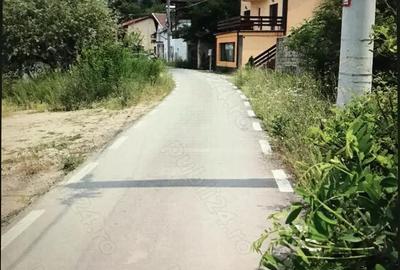 Teren de 3000 mp, în Dubova - 1