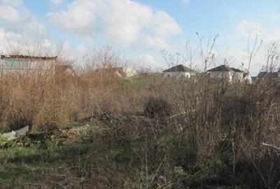 Prelungirea Ghencea - Ghidiceni, Apa Nova 2 - 6