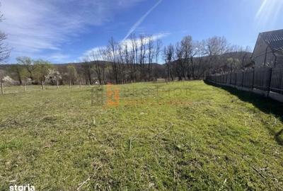 Spațiu comercial, în Tisău - 2