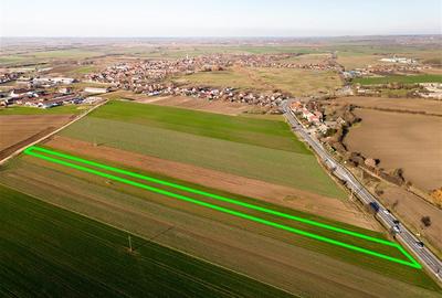 Teren intravilan de 5000 mp, în Tămășeu - 3