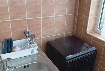 Apartament cu 2 camere decomandat în Ostroveni - 8