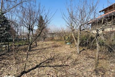 Casă cu 7 camere cu Teren 2500 Mp în Chiajna