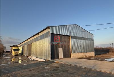 Spațiu comercial, de 1,630 mp, în Chiajna - 10