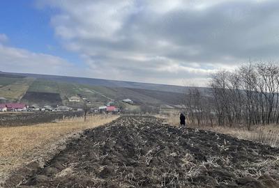 Teren de 6000 mp, în Avântu - 2