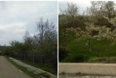 Teren extravilan livada cota parte 1/2 Candesti ID: R1965236 - 1