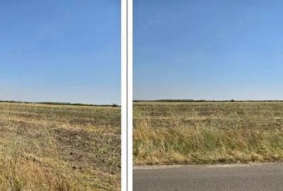 Teren de 4300 mp, în Smârdioasa - 4