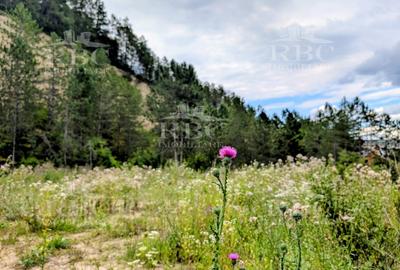 Teren intravilan pentru constructie casa in Cheile Baciului - 3