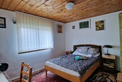 Balilesti - Stradal, casa spatioasa, 4600 mp teren intravilan - curte spatioasa - 11