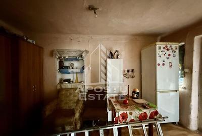 Apartament o camera si anexa, curte 124mp, zona Elisabetin Apartament o camera si anexa, curte 124mp, zona Elisabetin - 9