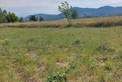 Teren Construcții intravilan de 1100 mp, în 1 Mai - 3