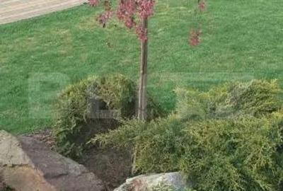 Casă cu Teren 2743 Mp în Sud - 14