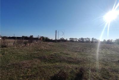 Teren de vanzare - 8027 mp - 2