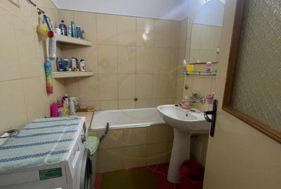 De vanzare Apartament 3 camere Careiului - 10