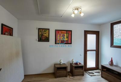 Casă individuală cu 2 camere cu Canalizare în Bucureștii Noi - 12