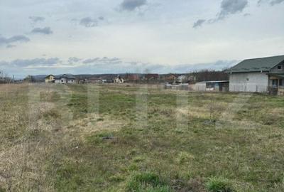 Teren intravilan cu toate utilitatile disponibile Dragomires - 2