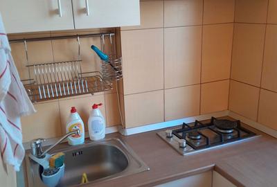 Garsonieră decomandată în Dosu Bricii - 3