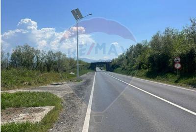 Teren Strategic in Vestem-Ideal pentru Dezvoltari Viitoare - 2