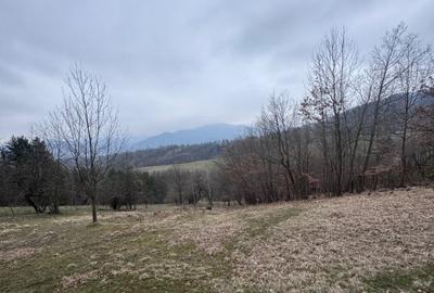 6000 MP teren intravilan, sat Bistrita, 9 Eur/MP - 1