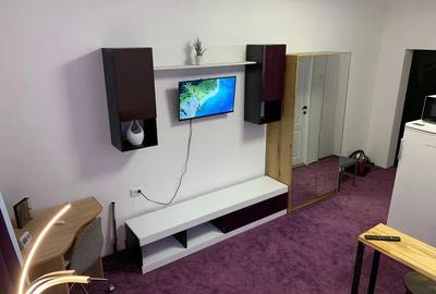 Garsoniera, zona Copou - 4