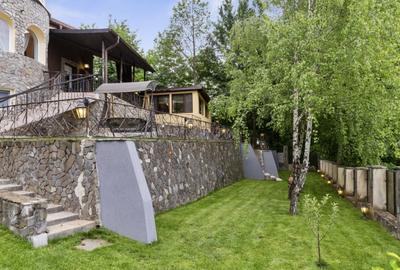 Refugiu de Vis in Cornu – Priveliste Panoramica si Apusuri Memorabile - 60