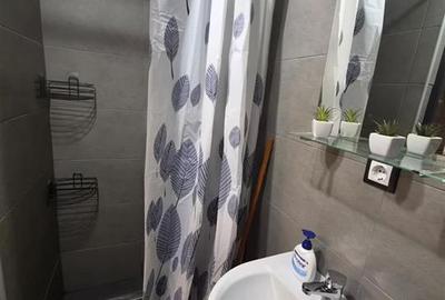 Garsonieră decomandată, mobilată în Vasile Aaron - 14