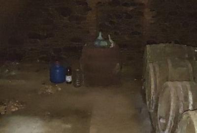 Casă cu 2 camere cu Teren 4384 Mp în Ilișua - 2