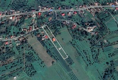 FILM! Casa si domeniu de 5.000mp, in Berchez:o bijuterie ascunsa a Maramuresului - 3