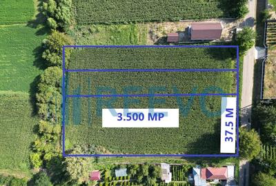 Teren intravilan de vanzare, Sat Bogdan?ti, Com. Traian - 12