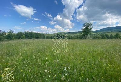 Teren agricol extravilan de 6500 mp, în Cușma - 6
