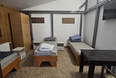 Proprietate speciala Dumbravita - casa individuala !! - 15
