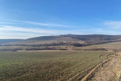 Spațiu comercial, în Mierlău - 3