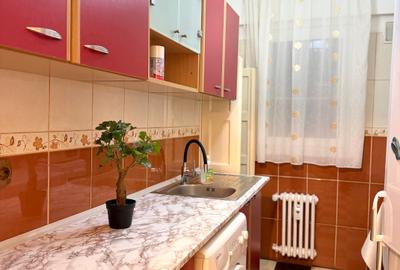 Apartament cu 2 camere semidecomandat, mobilat în Unirii - 9