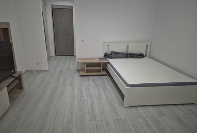 Garsonieră semidecomandată, mobilată în Dristor - 5