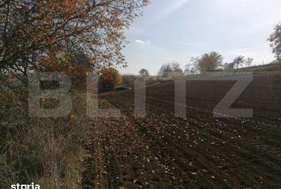 Teren de 5000 mp, în Miroslava - 2