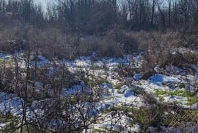 Teren 5,7 hectare Walter Mărăcineanu - Iesire la Lac, Teren Arabil, Liber - 3