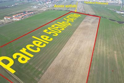 Teren Construcții intravilan de 505 mp, în Săcălaz - 1