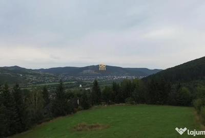 Teren de 5023 mp, în Voroneț - 10