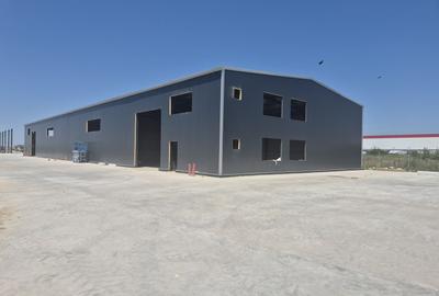 Hale de Inchiriat 600 mp Chitila - 5