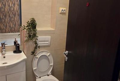 Apartament cu 2 camere semidecomandat, mobilat în Podu Roș - 10