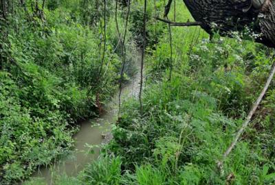 Teren de 4900 mp, în Boldești - 3