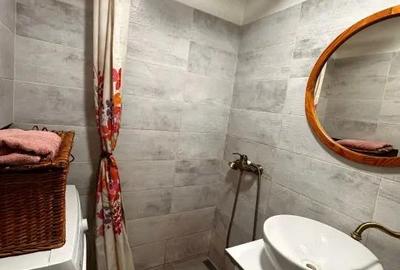 Garsonieră decomandată în Bartolomeu - 6