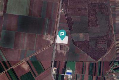 Teren Industrial in Glina, Jud. Ilfov - 2