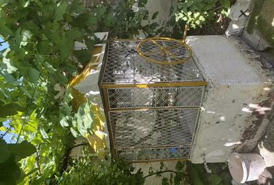 Casă cu 6 camere în Chișlaca - 1