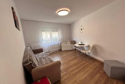 Bocsa Montana, Casa Cocheta pentru Familie mare. - 3