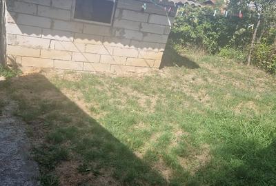 Vand casa cu suprafata utila 120 mp 3 camere bucatarie ,baie  necesita renovare - 2