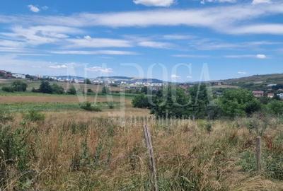 Teren Construcții intravilan de 3000 mp, în Borhanci - 2